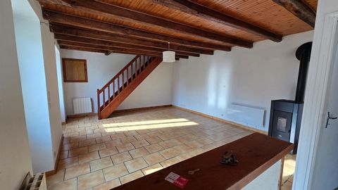 photo no. 4