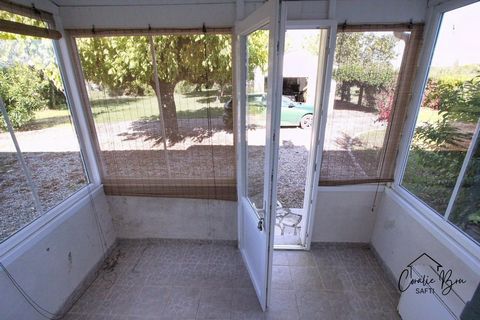photo no. 7