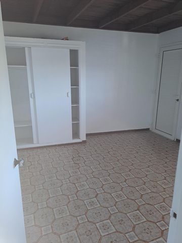 photo no. 6