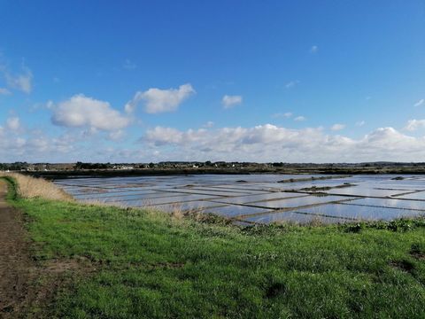 photo no. 5