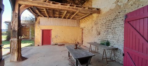 photo no. 2