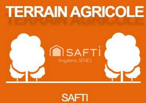 Terrain agricole d'environ 4.5 hectares