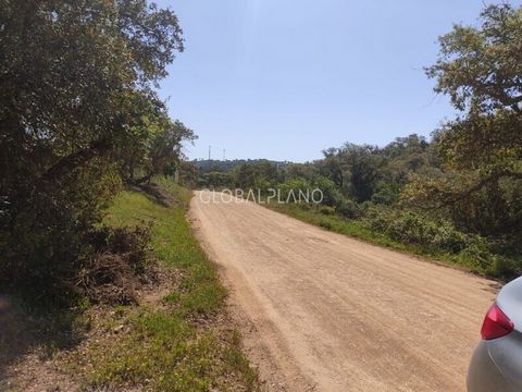 Rustic land located at the exit of Bensafrim a few km from the center of Lagos towards Aljezur, it has a total area of ​​10.5 ha, is composed of cork and honey production. It has the feasibility of housing construction. Good opportunity!