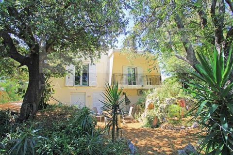 This beautiful villa for sale in Apokoronas, Chania, features the most impressive outdoors. it is a 201 sqm house, built on a 1077 sqm plot that also has a guest apartment that is separate at the basement. Access to the property is gained by means of...