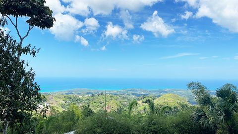 Land for sale of 15000m2 with visits 360. You can see the hills and also the sea. Beautiful view. Quiet and cool. Title and demarcation ready.