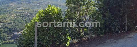 Unique opportunity! Rustic land with a view over the Douro river, council of Baião, parish of Ancede. It has a water hole, an excellent view, main water, fruit trees and electricity. It is practically fenced which gives total privacy. Breathtaking vi...