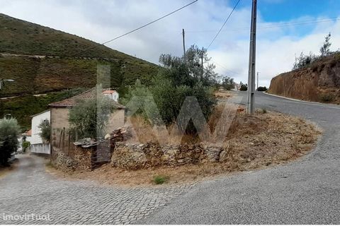 SHALE HOUSE TO RECOVER | CEIROQUINHO | AÇOR SAW For investment or for your refuge, it has the best location of the village. The village of Ceiroquinho is located at the bottom of an enchanted valley, in the heart of serra do Açor, between Pampilhosa ...