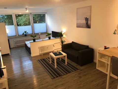 Bright studio apartment in Kiel Mitte, right next to Kiel main station (600 meters on foot). Large, bright living room with a comfortable couch and an open kitchen with a dining counter and 4 bar stools. The kitchen is equipped with all the appliance...