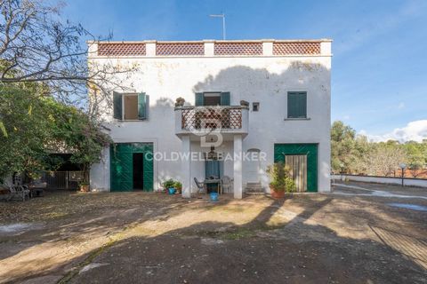 PUGLIA . OSTUNI FARMHOUSE WITH LAND Coldwell Banker offers for sale, an ancient farmhouse in the countryside of Ostuni, precisely on the provincial road Ostuni - Martina Franca, in Contrada Peraro. The ancient building consists of two levels: on the ...