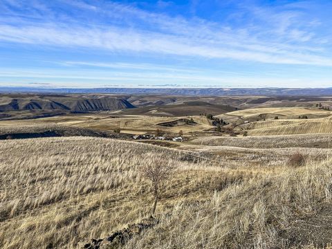 Winchester Grade View Property. This once productive farm ground is inviting you and your family to leave the city and join the peace and beauty of outdoor Idaho. The property has exceptional views of the Lewis Clark Valley and the Cavendish Prairie....