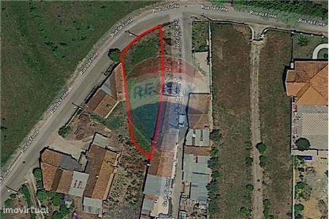 Rustic land well located in Ois do Bairro, with an area of 795.5m2 where you can build a villa, very close to the city of Anadia and Mealhada.