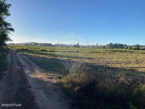 Clean Rustic land, of arable culture, with 3,000m2 to sow vegetables or fruit trees, for sale only for €13,300. Take the first right when you exit the Repsol roundabout in Valado dos Frades, in the direction of the National Road to Alcobaça.