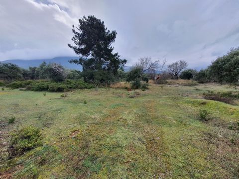 Property Code. 11368 - Agricultural FOR SALE in Thasos Skala Kallirachis for €60.000 . Discover the features of this 3388 sq. m. Agricultural: Distance from sea 380 meters, Distance from the city center: 22600 meters, Distance from nearest village: 1...