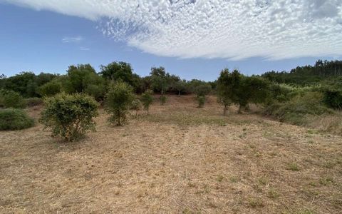 Rustikales Grundstück in Alfambras, mit einer Fläche von 1250 m2. Leicht zugänglich, mit Wasser und Strom entlang der terreno.Com einigen Korkeichen. 6 km von Aljezur entfernt, wo Sie alle Dienstleistungen finden, und 3 km vom Kanalstrand entfernt . ...