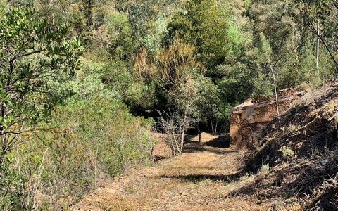 Terreno localizado na freguesia de Monchique, com uma área de 16920 m2, e com uma pequena construção rural de 18 m2. No local não existe electricidade nem água. Há a possibilidade de fazer um furo e colocar energias alternativas. O local é bastante t...