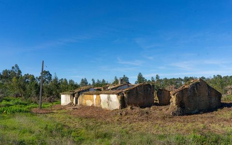 Anwesen in der Gegend von Carrascalinho mit einer Fläche von 10 ha und einer Ruine, die mit 161 m2 wiederhergestellt werden muss. Es verfügt über Wasser- und Stromanschluss sowie eine Wassermine auf dem Boden. Auf dem Grundstück befinden sich ein Kie...