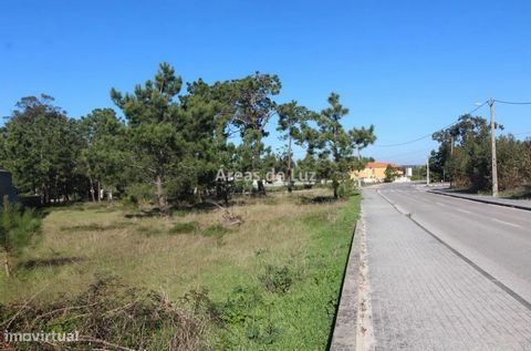 Terreno rústico para Construção Vieira de Leiria - Perto das Praias (Pedrogão e Vieira) Situa-se na calma localidade da Vieira de Leiria Fica a cerca de 3 Km da Paia da Vieira, ou a 5 Km da Praia do Pedrogão Com área total de 2.250 m2, e uma boa fren...