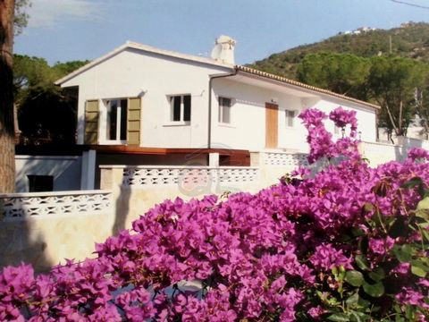 Esta es una casa increíble (CON licencia turística) que no verás a menudo y de la que te enamorarás muy fácilmente. Estás a poca distancia del centro de Platja d'Aro y su hermosa playa. La calle sin salida y el amplio jardín que se encuentra junto a ...