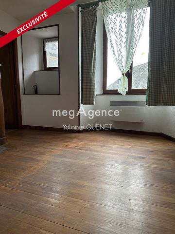 Appartement de 51m2 situé au Rez de chaussée comprenant 1 entrée avec placard,1cuisine,1salle à manger,1salle de bain avec douche et wc, 1chambre,1cave Les informations sur les risques auxquels ce bien est exposé sont disponibles sur le site Géorisqu...