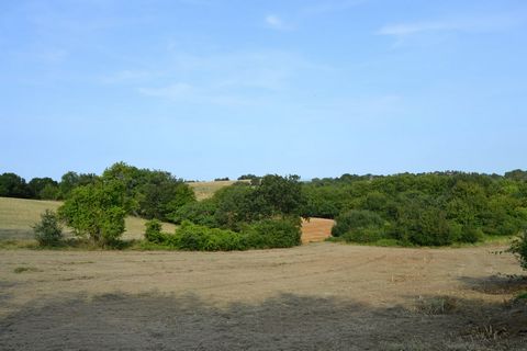 Exclusivité. Situé à seulement 5 minutes de Caraman, dans le charmant village de Mascarville, au coeur du Lauragais, nous vous proposons ce beau terrain de 3 401 m² dont plus de 2 000 m² constructibles. Doté d'une d'une belle vue dégagée sur la campa...