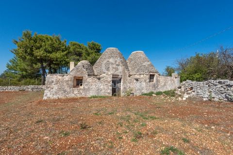 Scopri il fascino di un autentico trullo con 5 coni, per un totale di 122 mq catastali, immerso nella suggestiva Valle d'Itria. Questa proprietà unica si estende su un terreno panoramico di 7680 mq e si trova a circa 8 km da Martina Franca, con facil...