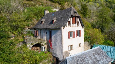 Conques-Sektor in Rouergue, ehemaliges Müllerhaus von ca. 157 m² aus dem 17. Jahrhundert, erbaut auf einem Grundstück von 3860 m². Dieses charaktervolle Haus aus Schieferstein und Schieferdach liegt 3 Minuten vom Zentrum von Conques entfernt und biet...