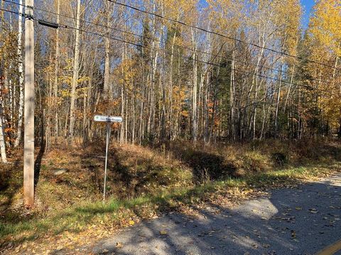 Beautiful and rare land remaining in this area located in an island with the possibility of building with frontage on Mtée des Pins Rouges or on Les Perdrix. The land is wooded and has a right of access to the nearby Lac des Écorces. Very nice area w...