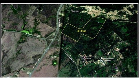 81 hectare in Bayunca - Breid uw visie uit in het hart van de noordelijke groei Deze indrukwekkende uitgestrektheid van 81 hectare in Bayunca biedt een unieke kans in een bloeiend gebied, beïnvloed door de voortdurende ontwikkeling van infrastructuur...