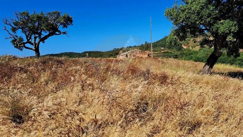 Propriété d’une superficie totale de 31 ha située dans la paroisse de São Teotónio, composée de 3 propriétés, dont 2 rustiques et 1 mixte. 1- Propriété rustique de 5,3 ha composée de forêt de chênes-lièges et de végétation indigène. 2- Propriété rust...