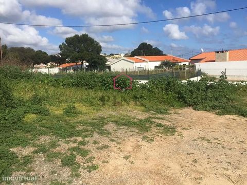 Apresentamos um lote de terreno excepcional na deslumbrante Ilha do Porto Santo, ideal para a construção de uma moradia de amplas áreas. Este terreno oferece uma vista panorâmica deslumbrante sobre o vasto Oceano Atlântico, permitindo uma conexão ínt...