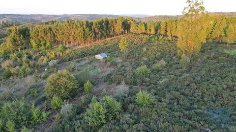 Excelente terreno com 20 850 metros quadrados. Propriedade rústica com excelentes vistas, inclusive para a maciça Serra da Estrela. Inserido em ambiente rural, natural e verde, com ótima exposição solar. Tem água proveniente de 4 poços, que lhe permi...