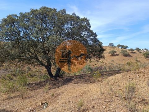 Land with 50,200 m2, in Cerro do Enho in Castro Marim - Algarve. Unobstructed view of the Algarve mountains. Good access. A lot of trees. Close to water and electricity. Excellent location, quiet place. IT'S POSSIBLE: The Land is located in the munic...