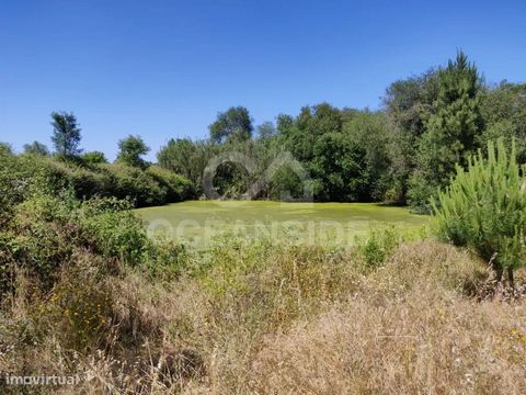 Quinta de 9,6 ha, em Branca, Coruche, com 2 pequenas moradias, dois pavilhões agrícolas, painéis solares para aquecimento de água e produção de energia foto-voltaica. Quinta com muita água, furo para abastecimento de água para consumo ou rega, 3 poço...