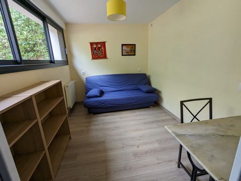 photo no. 8