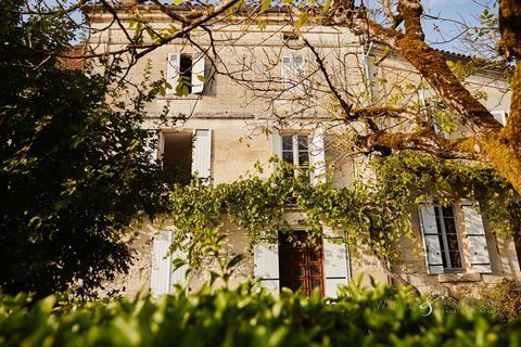 In der Nähe von Chalais und Aubeterre sur Dronne, herrliches Anwesen von 360 m2 auf einem schönen Grundstück von 2400 m2, mit Bäumen bepflanzt und vollkommen ruhig. Derzeit wird dieses Anwesen im Charente-Stil als Ferienhaus oder Bed & Breakfast betr...