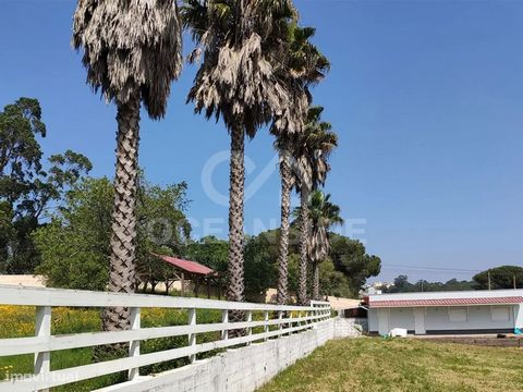 Deze boerderij, in Serradas, heeft een totale oppervlakte van 17.000m², met landbouwgrond (niet-urbaniseerbaar), twee huizen, een magazijn, een werkplaats, een kantoor en garages. Het land kan worden gebruikt voor landbouwteelt of voor ander gebruik,...