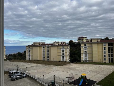 Nowe mieszkanie z 3 sypialniami w Trabzon. Apartament w Pelitli, Trabzon, znajduje się w bloku D nowo wybudowanego kompleksu. Mieszkanie nadaje się do sfinansowania. TZX-00264 Features: - Balcony - Lift - Satellite TV