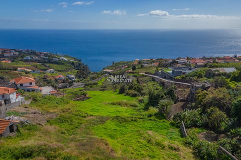 Terrain constructible surplombant la mer dans la paroisse d’Estreito da Calheta, île de Madère. Cette propriété est divisée en 2 articles, insérée dans une zone urbaine, avec une vue définitive sur l’océan, avec une exposition au soleil tout au long ...