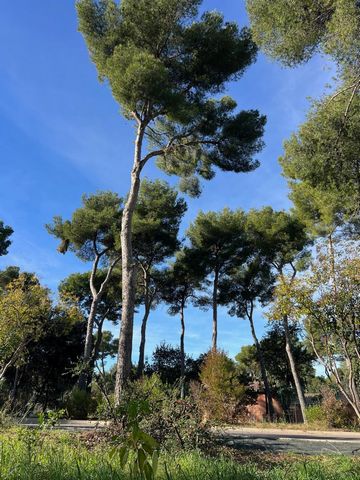 Venez découvrir ce magnifique T2 de 37m2, dans une résidence de standing. réhabilitée en 2012. Dans le secteur du Paradis Nord, à 5 minutes des plages et dans un cadre verdoyant, vous serez sous le charme de cet appartement rénové avec gout, entièrem...