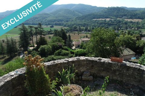 I present to you this village house with terrace, it is an exceptional property; a little paradise. Dated 1300, it is located on the ramparts of Dauphin and offers a splendid view! This house is made up of several apartments, the first in height with...