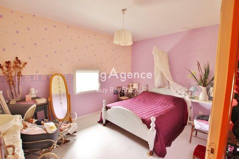 photo no. 8