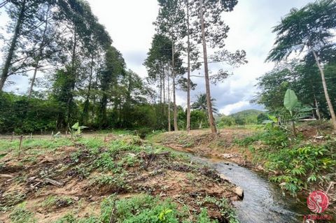 98 Rai of land with rubber plantations and economic plants is for sale in Takua Thung, Phangnga. The plot is available on Norsor3 and Norsor3kor. This land is perfect for planting important economic fruit trees, Good Soil fertility harvest all year r...