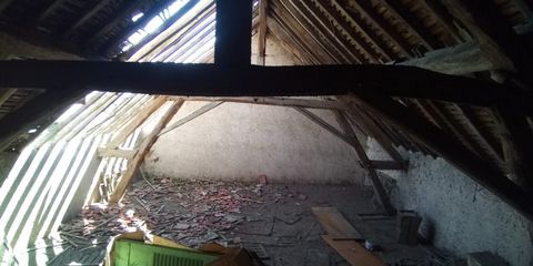 photo no. 4