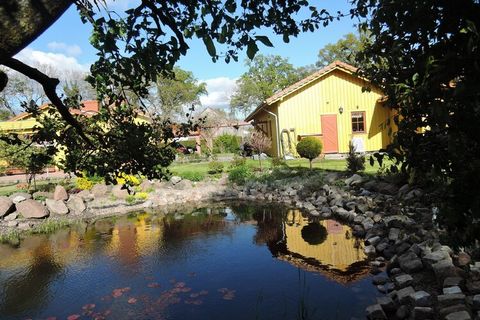 Une nouvelle maison de vacances confortable à Stepnica. A disposition des hôtes : séjour, chambre, cuisine bien équipée, salle de bain avec douche, lavabo, WC, deuxième WC supplémentaire. La maison est entourée d'un beau et grand jardin paysager avec...