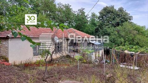 L'agenzia Yavlena offre una casa a un piano nel centro del villaggio di Osenovo con un ampio cortile. Il terreno è pianeggiante rettangolare con una superficie di 1700 mq, seminativo. A 100m dalla strada principale e dal centro. Ci sono molti per l'e...