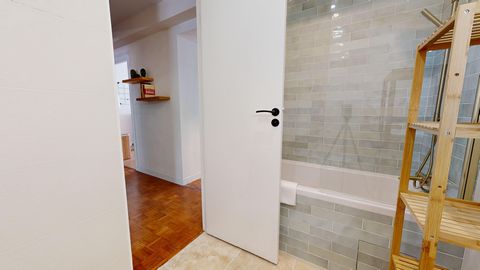 photo no. 11