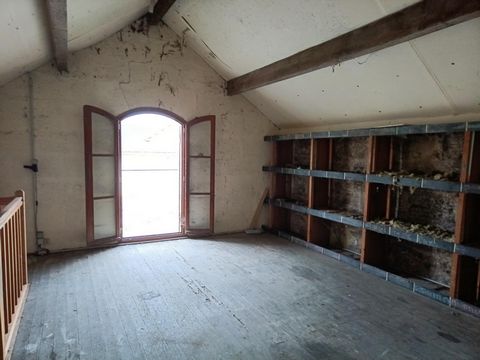 photo no. 4