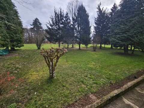 photo no. 10