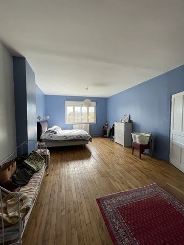 photo no. 11