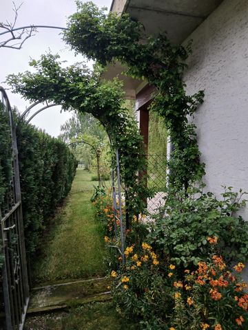 photo no. 12